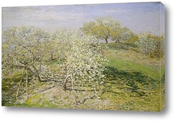   Постер Весна (цветение фруктовых деревьев)
