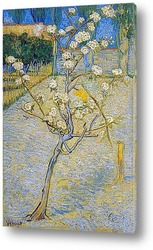   Картина Грушевое дерево в цвету, 1888