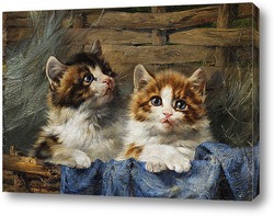   Картина Двое котят в корзине с синей тканью