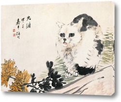   Постер Хризантема и кошка