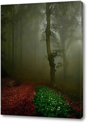   Постер На лесной тропе