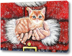   Постер Новогодний котенок