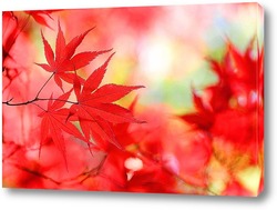  Осенний лист