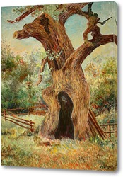   Постер Старый дуб