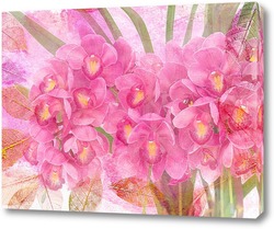    Розовая Орхидея