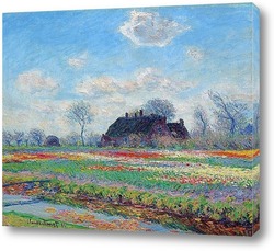   Картина Поле тюльпанов недалеко от Лейдена, 1886