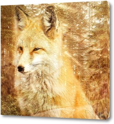   Постер Рыжая лисица