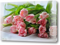   Постер Букетик розовых тюльпанов