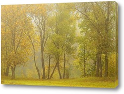   Постер Осень туманная