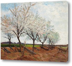   Картина Цветущие фруктовые деревья, 1877