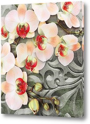   Постер Яркие орхидеи