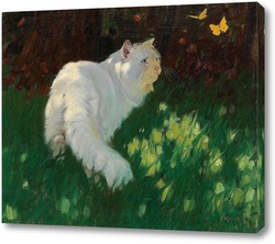   Постер Белая кошка и бабочки 