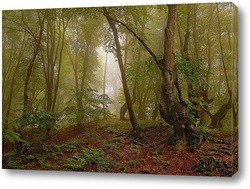   Постер Чародейский лес