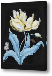   Постер Тюльпан и бабочки