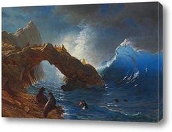   Постер Тюлени на скалах 1873