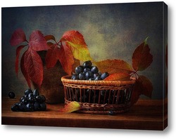   Постер композиция с виноградом и осенними листьми