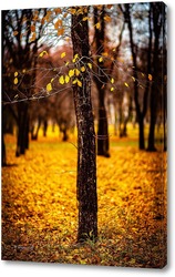   Постер Жёлтые листья на фоне чёрных стволов.