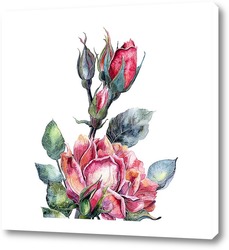   Постер Цветок Розы