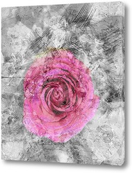   Постер Розовая роза