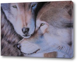   Постер Волки