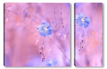  Фиолетовые полевые цветы на бирюзово-голубом фоне.