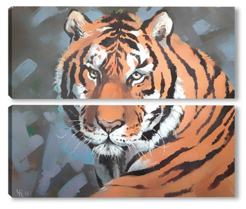 Тигры 5012