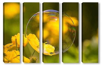 Модульная картина Мыльный пузырь на жёлтом цветке.
