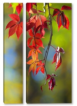 Модульная картина красные листья