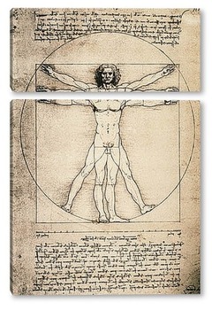 Модульная картина Leonardo da Vinci-24