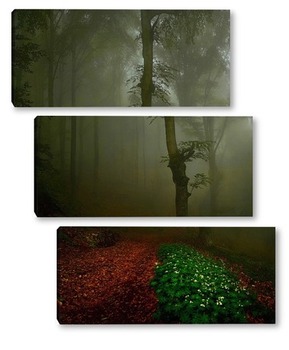 Модульная картина На лесной тропе