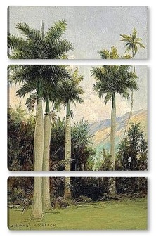  Гавайский пляж с пальмами, 1932
