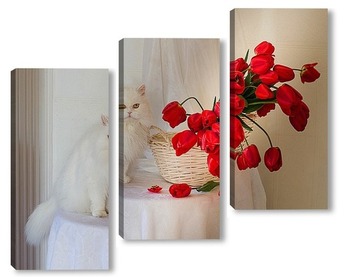 Модульная картина Красные тюльпаны и белый кот