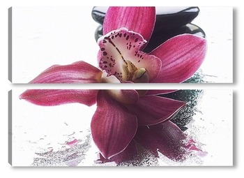 Модульная картина Цветок орхидеи на мокром стекле