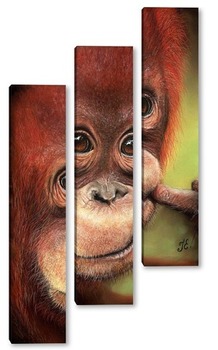 Модульная картина Орангутанг