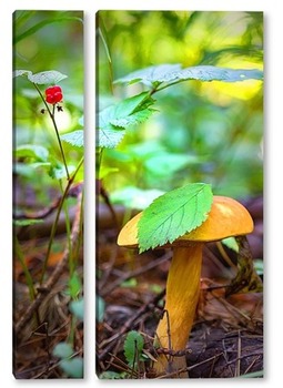 Модульная картина Лесной гриб с ягодами костяники