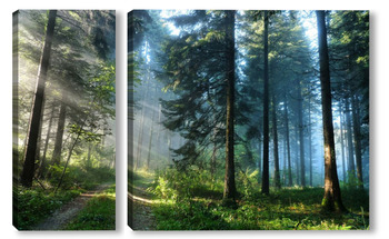 Модульная картина Водопады и леса 39438