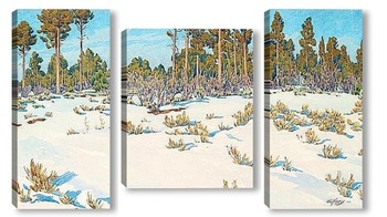 Модульная картина Снег.Лес в Гранд Каньоне
