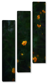 Модульная картина Лютики цветочки