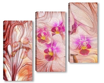  Цветущие орхидеи