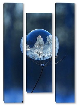 Модульная картина Замёрзший мыльный пузырь на высохшем цветке