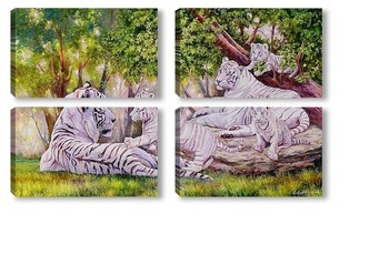  Тигры 30764