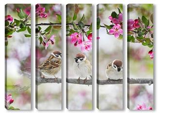  птицы в майском саду