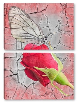 Модульная картина Красная роза с бабочкой