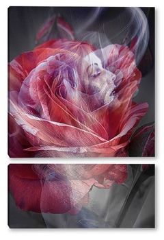 Модульная картина Роза с алыми лепестками