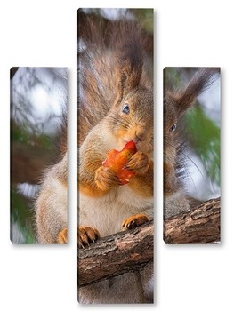  cute young squirrel on tree with held out paw against blurred winter forest in background.	