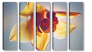 Модульная картина Загадочна орхидея