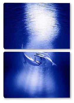 Модульная картина Dolphin071