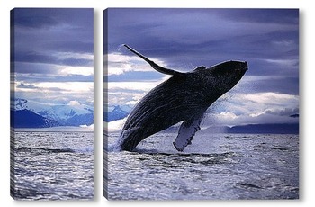 Модульная картина Whale028