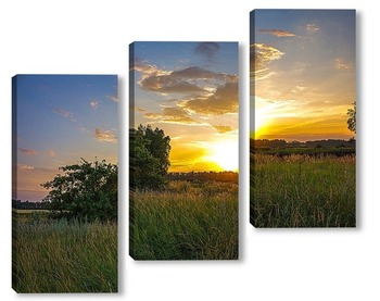  Field and forest at sunset. Tree silhouettes close-up. Evening fog, twilight sky, moonlight. Dark spring landscape. Pastoral rural scene. Nature, seasons, ecology, weather. Panoramic view, copy space