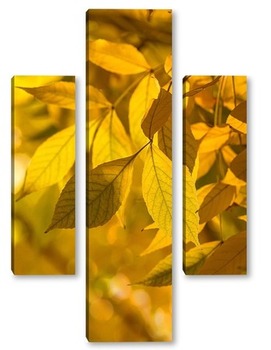 Модульная картина Желтые листья